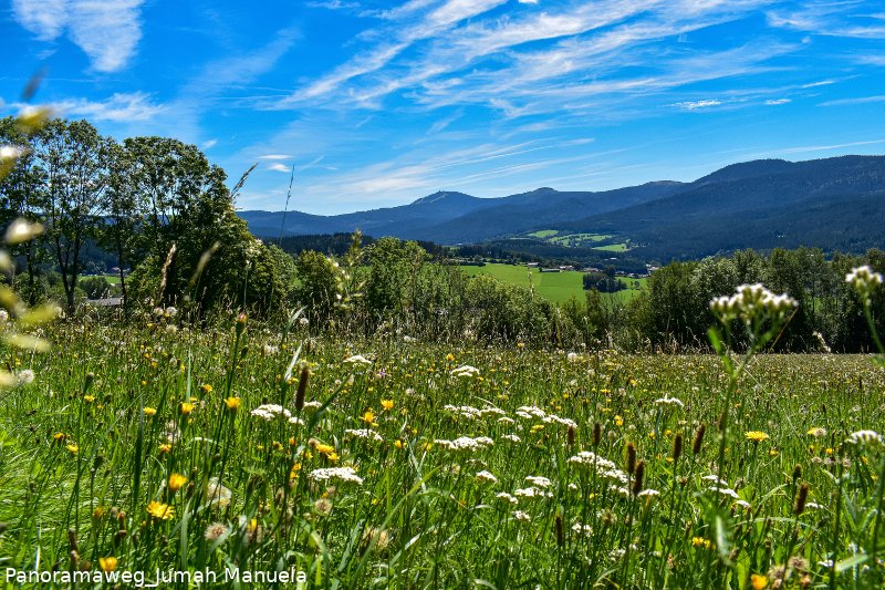 Panoramaweg