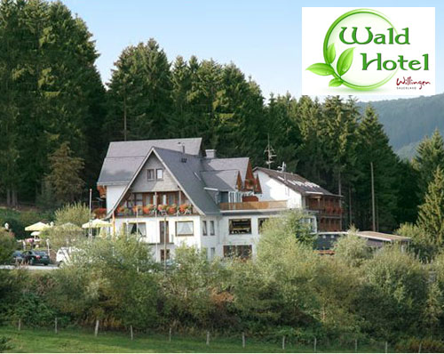 waldhotelwillingen